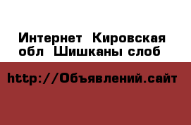  Интернет. Кировская обл.,Шишканы слоб.